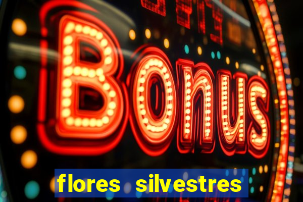 flores silvestres desbravadores desbravadores 25